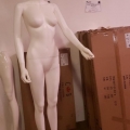 New Female Standing Mannequins 